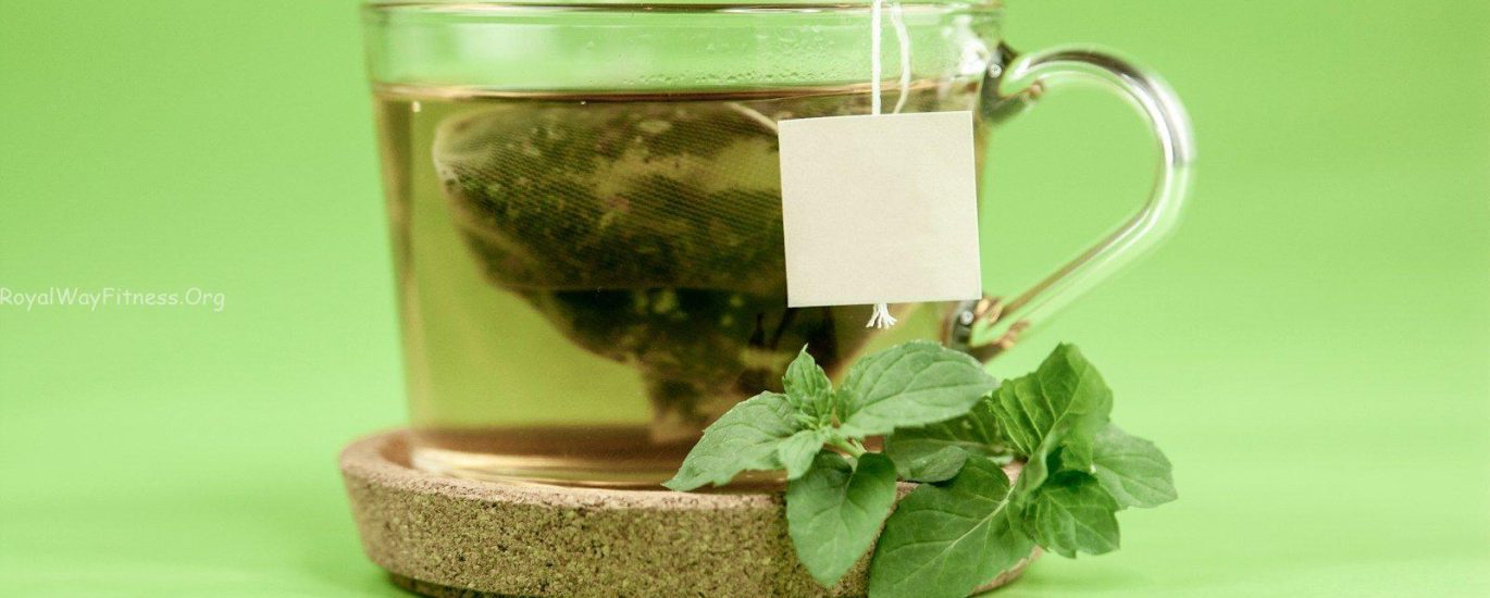 clear glass mug with green leaves