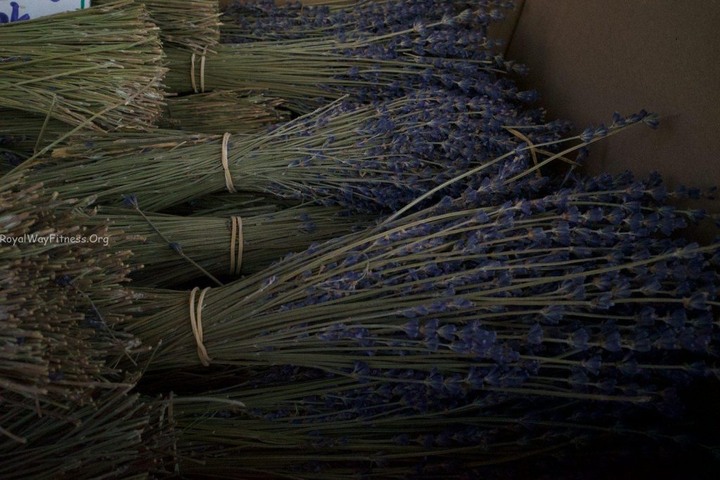 Bundles of dried lavender tied with bands.
